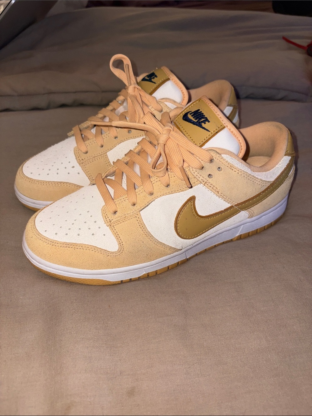 Nike Dunks (Lowtop)